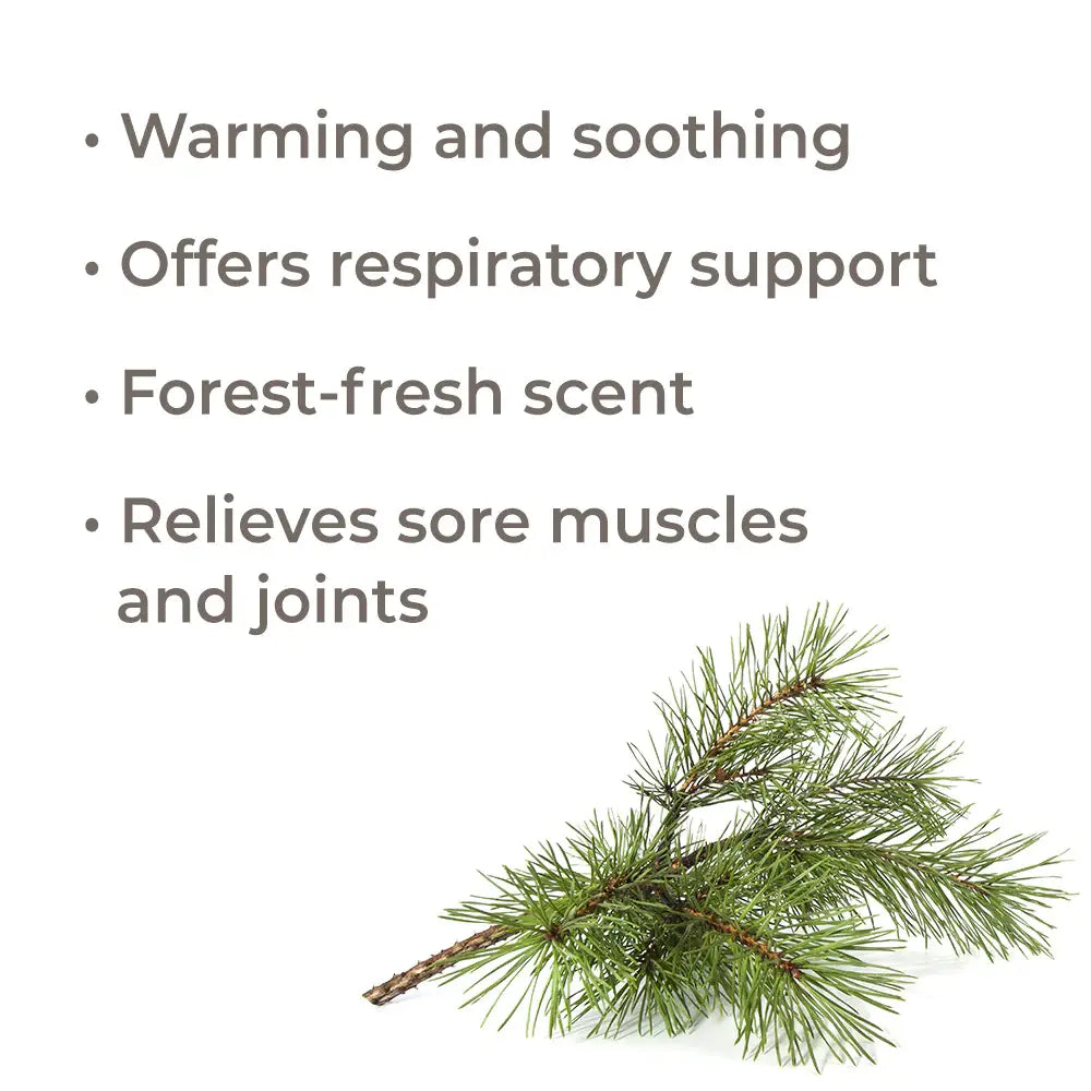 Scots Pine Essential Oil 30 mL