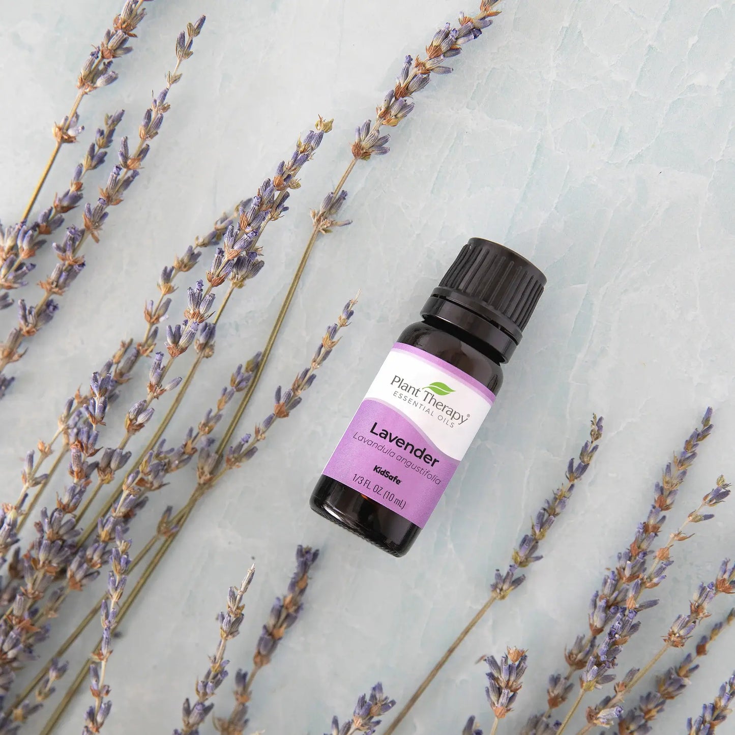 Lavender Essential Oil 100 mL