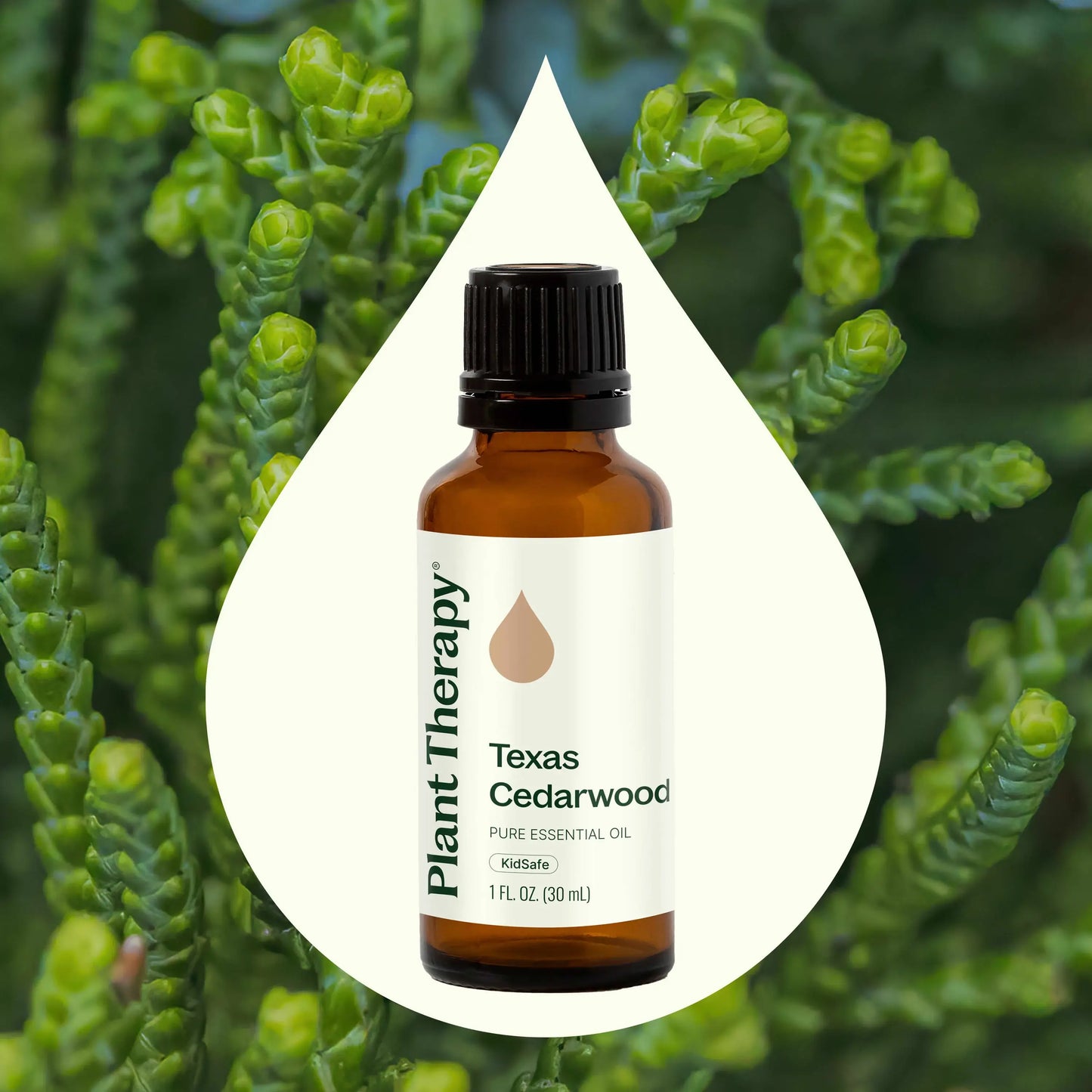 Texas Cedarwood Essential Oil 30 mL