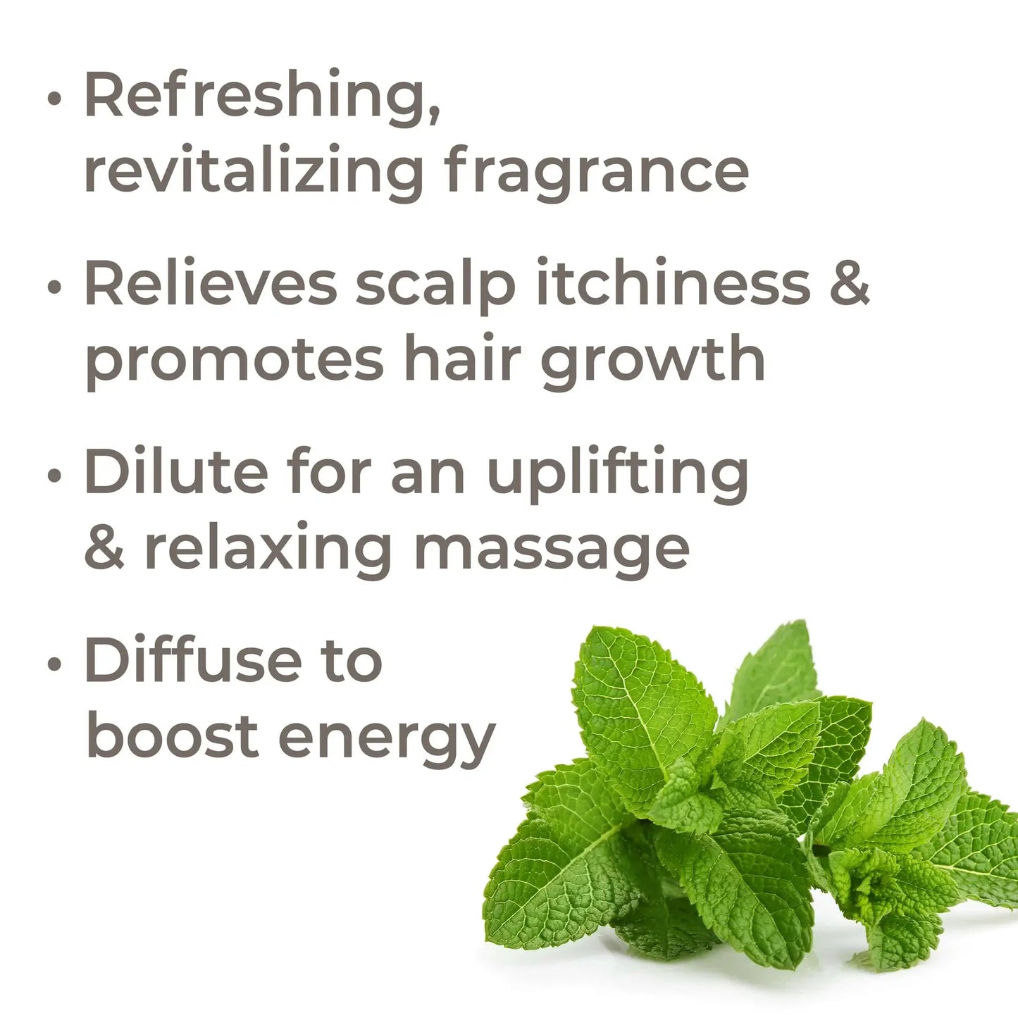 Peppermint Essential Oil 100mL