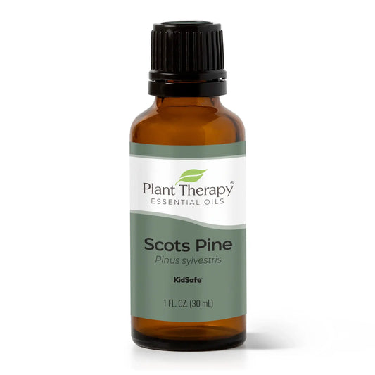 Scots Pine Essential Oil 30 mL