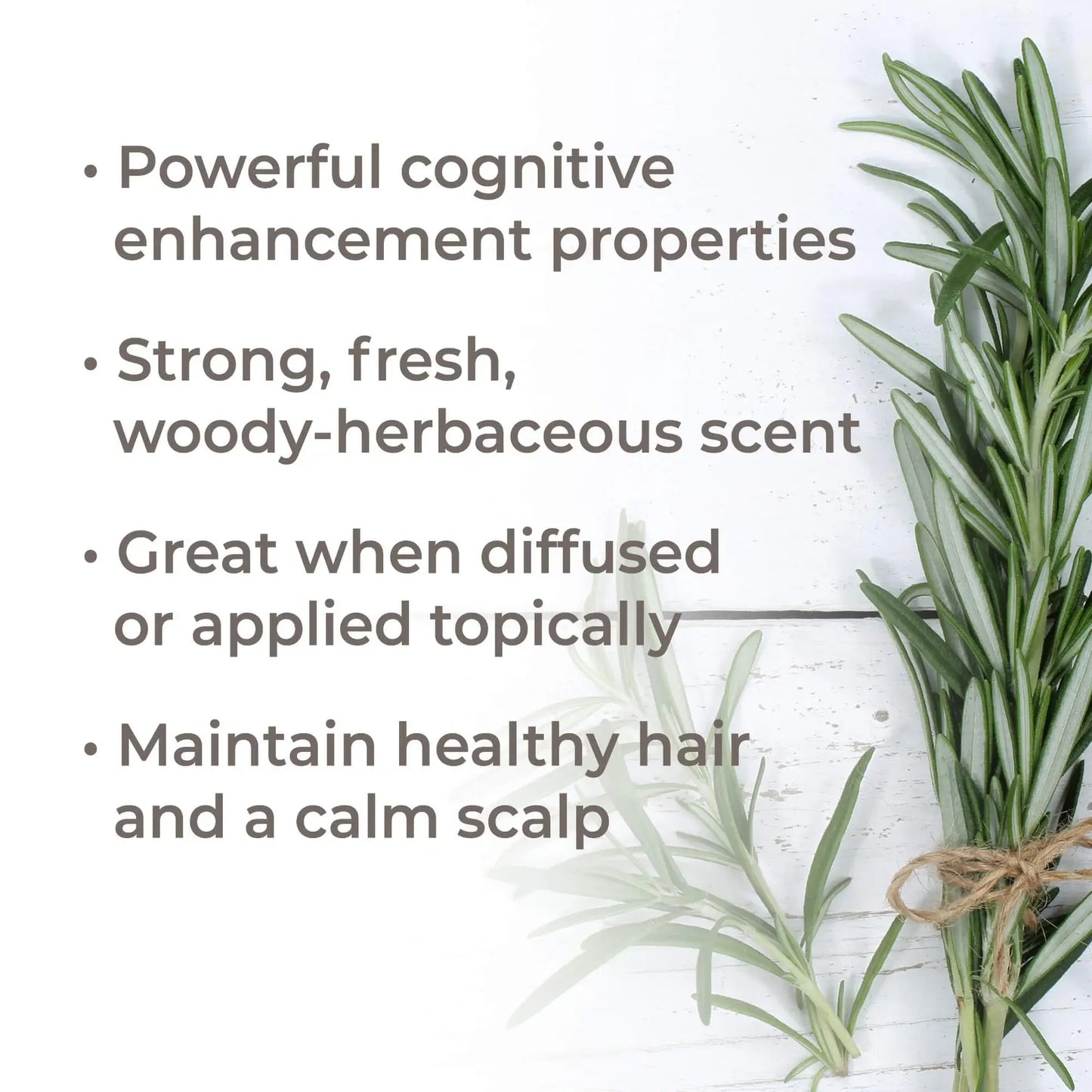 Rosemary 1,8-Cineole Essential Oil 30 mL