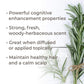 Rosemary 1,8-Cineole Essential Oil 100mL