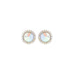 Vintage Style Crystal Halo Stud Earrings : Iridescent