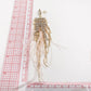 Pink Feather Rhinestone Tassel Earrings: 4# Pink Feather