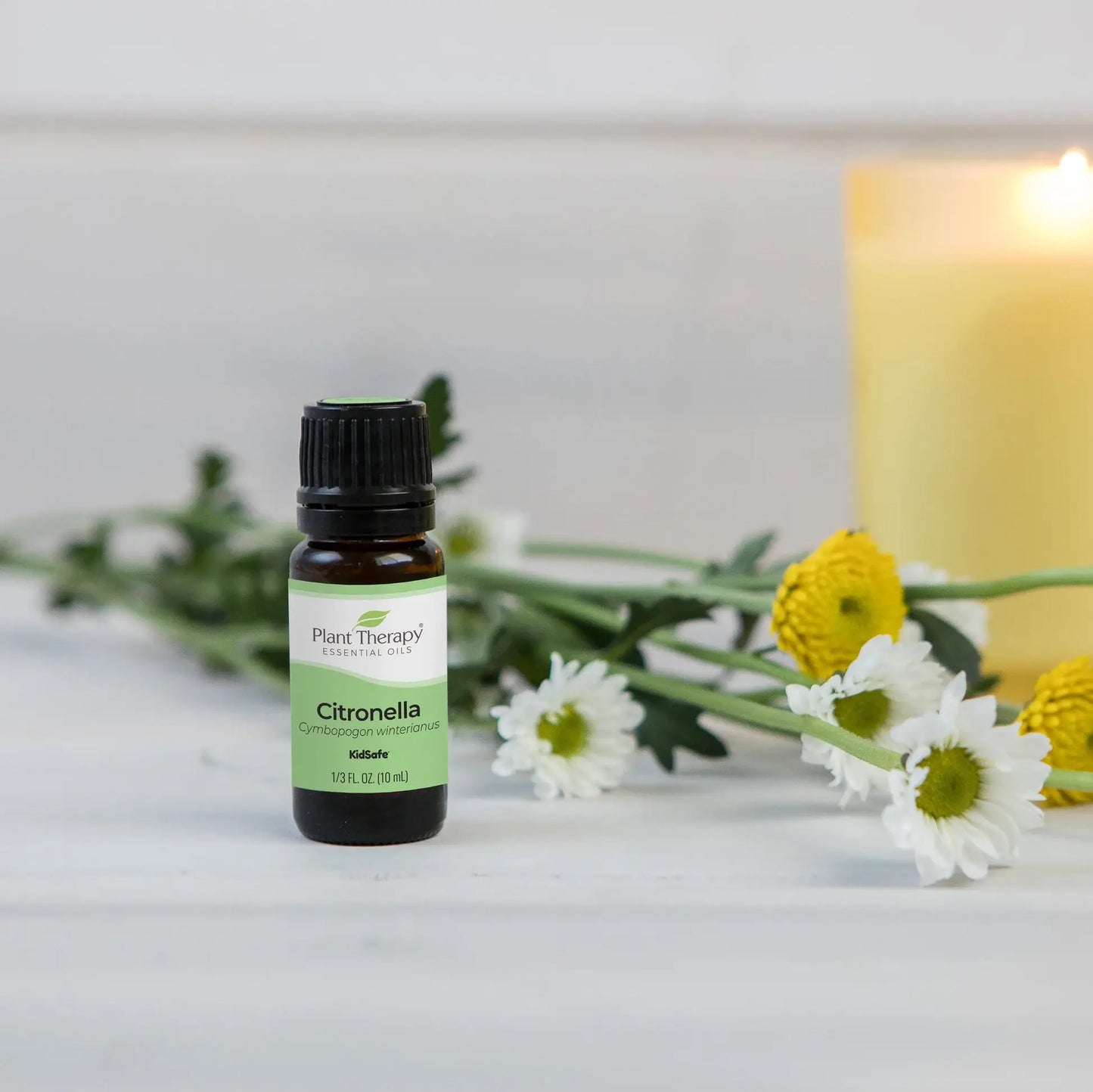 Citronella Essential Oil 100 mL